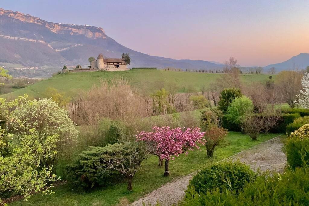 Appartement Au calme avec vue magnifique à Saint Maximin Extérieur photo